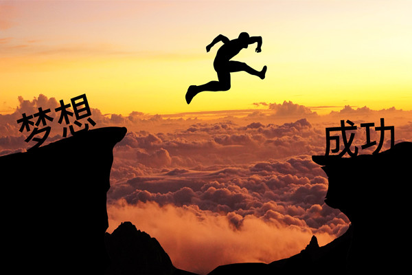 績效管理：應(yīng)對變革挑戰(zhàn)，推動組織變革成功