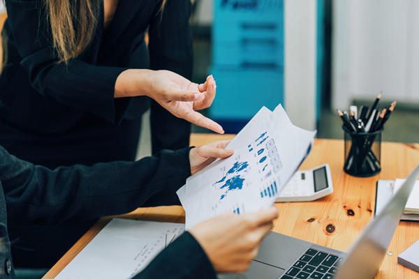 企業(yè)預(yù)算管理：打造財(cái)務(wù)穩(wěn)健，引領(lǐng)企業(yè)騰飛新篇章