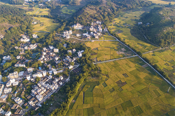 肇慶預(yù)算管理咨詢公司如何為企業(yè)構(gòu)建精細(xì)化的預(yù)算體系？