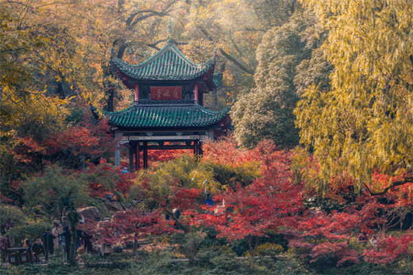 長(zhǎng)沙薪酬咨詢(xún)公司如何設(shè)計(jì)合理的薪酬結(jié)構(gòu)與體系？