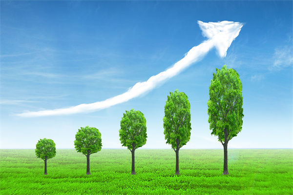 植樹就是植未來，對企業(yè)的戰(zhàn)略規(guī)劃有哪些啟示？