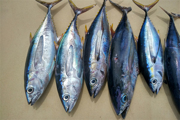 商務(wù)部：將幫助外貿(mào)企業(yè)擴寬內(nèi)銷渠道，政策解讀！