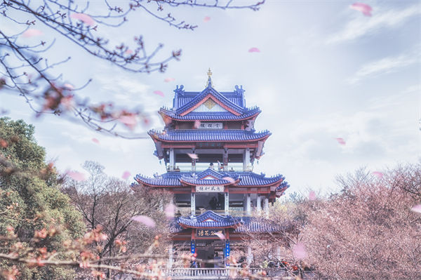 供應(yīng)鏈成本居高不下，無錫供應(yīng)鏈咨詢公司如何精準(zhǔn)砍出利潤(rùn)空間？