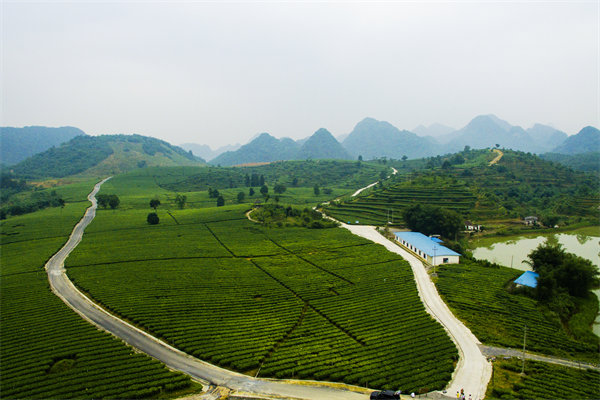 清遠(yuǎn)營(yíng)銷咨詢公司深挖需求，如何為品牌打造直擊消費(fèi)痛點(diǎn)的賣點(diǎn)？