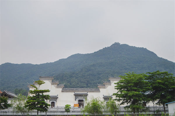 子公司各自為戰(zhàn)內(nèi)耗大，佛山集團管控咨詢公司有何整合之道？