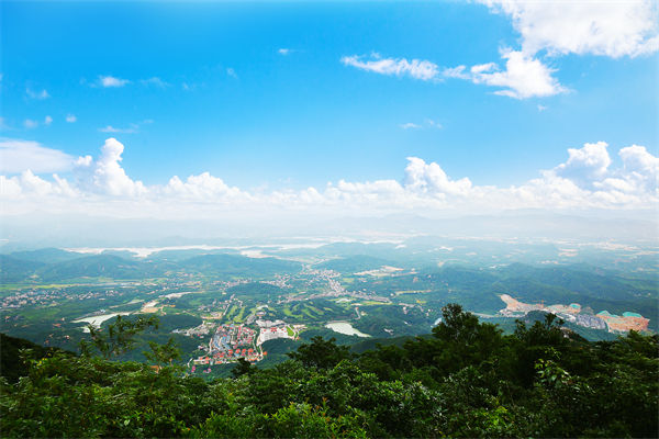 企業(yè)戰(zhàn)略飄在半空落地難，惠州戰(zhàn)略咨詢公司能錨定方向嗎？