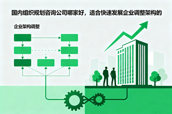 國內(nèi)組織規(guī)劃咨詢公司哪家好，適合快速發(fā)展企業(yè)調(diào)整架構(gòu)的