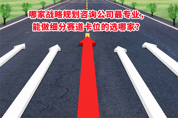 哪家戰(zhàn)略規(guī)劃咨詢公司最專業(yè)，能做細(xì)分賽道卡位的選哪家？