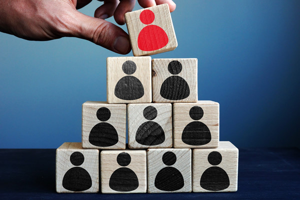 哪個人力資源管理咨詢公司落地最好，能搭全流程人力體系么？