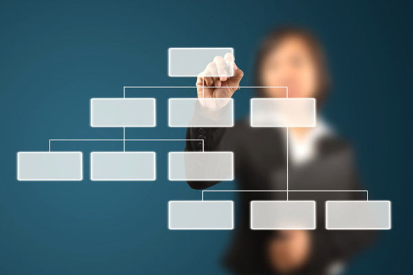 哪家組織規(guī)劃咨詢公司落地最好，能搭建適配發(fā)展的組織體系？